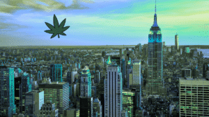 Stylized aerial view of New York City skyline with a cannabis leaf graphic in the sky