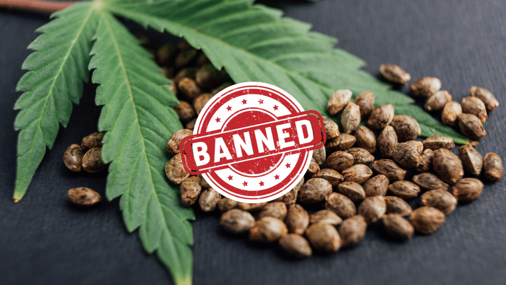 Hemp-derived THC products on a retail shelf facing potential federal ban in the United