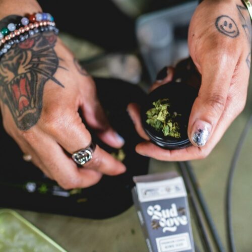 a person holding a bag of marijuana in their hands