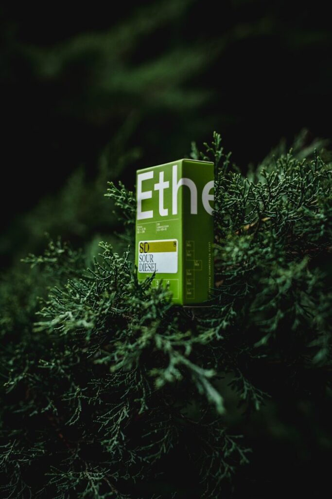 a green box sitting on top of a tree eco friendly cannabis packaging