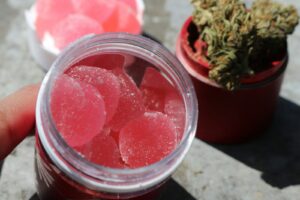 cannabis edibles directory